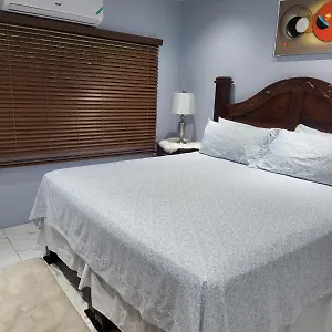  Bed & Breakfast The President 5 Minutes To Devon House 4 Waterloo Avenue Jamaica
